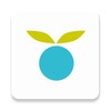 樱花视频在线观看免费高清电视剧正式版